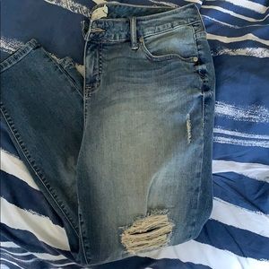 Torrid Jeans